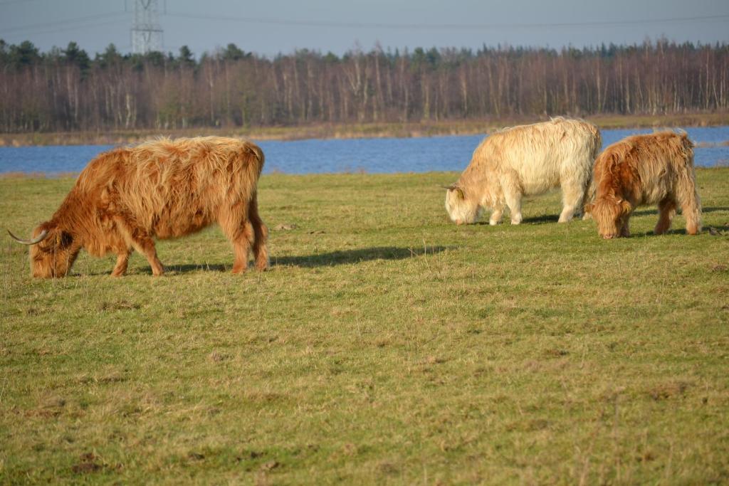 Auberge De Moerse Hoeve Eksteriør billede