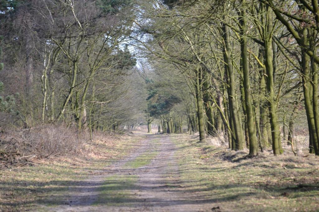 Auberge De Moerse Hoeve Eksteriør billede