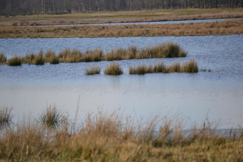 Auberge De Moerse Hoeve Eksteriør billede