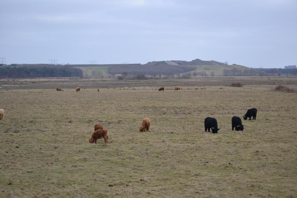 Auberge De Moerse Hoeve Eksteriør billede
